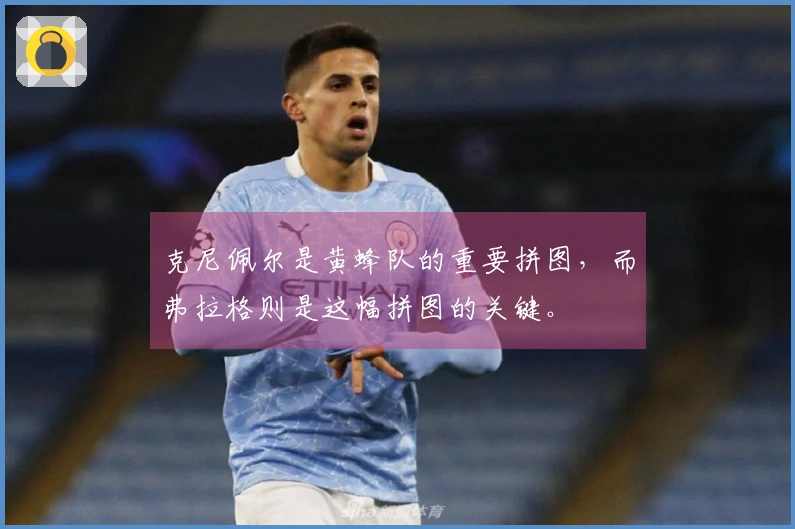 克尼佩尔是黄蜂队的重要拼图，而弗拉格则是这幅拼图的关键。